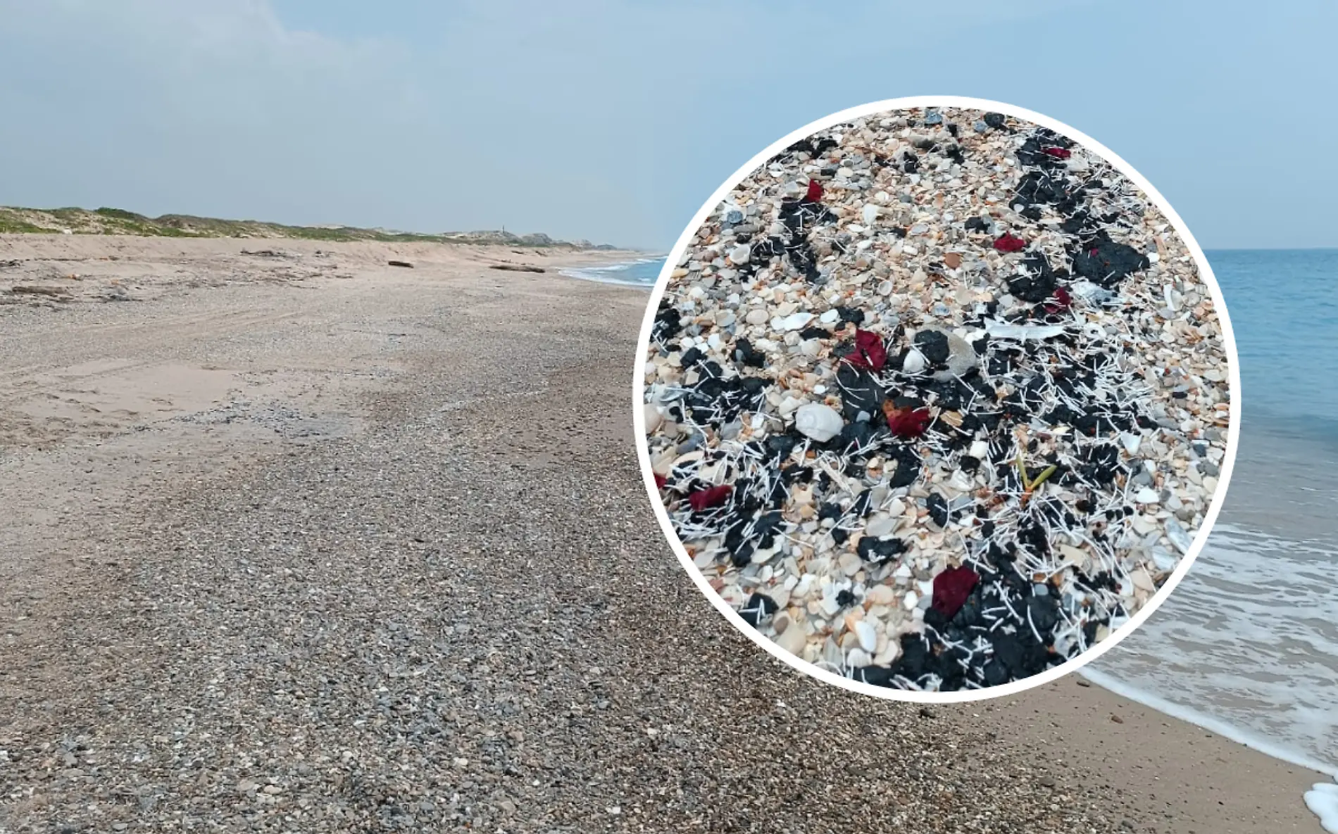 Residuos de petróleo llegan a la playa de Altamira Miguel Díaz (1)